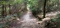 Col de la Croix du Ban et Bois Charnay