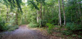 De Chaville à Versailles à travers les forêts domaniales