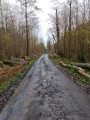 Autour du village de Villers-au-Bois
