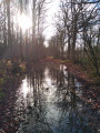 Chemin inondé