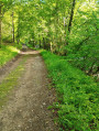 Chemin le long de l'Aix