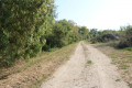 Chemin le long du Chenal du Nord