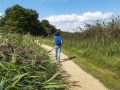 Chemin longeant la roselière