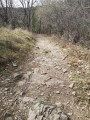 Chemin menant au jalon le Valoubière