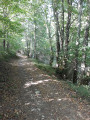 Chemin ombragé près de Lesparrou