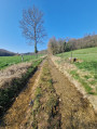 Path running alongside a stream