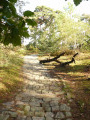 Chemin pavé