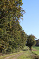 Chemin près de la Loge aux Bois