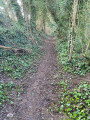 chemin qui traverse la rivière