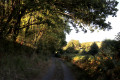 Chemin rejoignant l'Auzon entre Lavau et La Cave