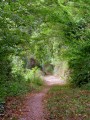 Chemin remontant sur les Feuillets au Moulin de la Dine Jacques