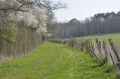 Chemin rural de la Roche