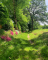 Chemin Rural