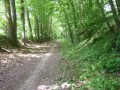 Chemin sur la ligne du Tacot.