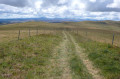 Chemin sur la Montagne de Courbières