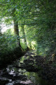 Chemin très humide aux Gouttes