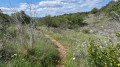 Chemin vers clôture domaine du Bourbouillet