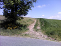 Chemin vers la Grande Magdeleine