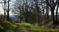 Chemin vers la voie verte