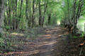 Chemin voûté du Peux