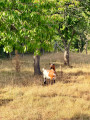 Ch&egrave;vre