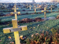 Cimeti&egrave;re franco-britannique de Thiepval