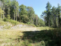 Clairière après le Col de Noustens