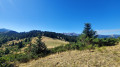 Col de Joux