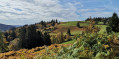 Tourbières et sentier panoramique au départ du Col de Menufosse