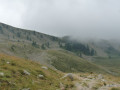 Millefonts Seen - Col du Barn