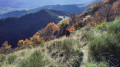 Col des Pins