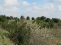 Collines sèches autour du village