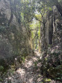 Combe de Vaumale - Combe de Lioux