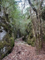 Combe de Verdolier et retour par une combe latérale