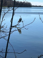 Sentier du Lac de la Bancalié