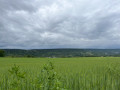 En rive droite de la Moselle, les villages de Jouy, Féy, Corny par les bois