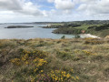 Rundtour zu den Klippen von Guern über den Strand von Trez Bellec