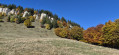 Circuit des crêtes et de l'alpage de la Molière