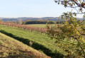 Boucle de la Brogne