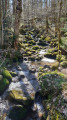 Cours d'eau après la source chaude