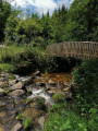 Entre sous-bois et chemin depuis Saint-Pal-de-Mons