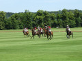 Course de polo