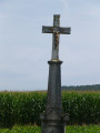 Boucle entre Vic-sur-Seille et Moyenvic par la Forêt de Bezange-la-Grande