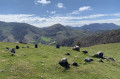 Cromlech de Mehatse