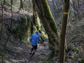 Dans la descente vers la Saone