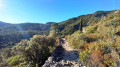 Dans la forêt de Saint Guilhem