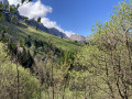 Le Col Vert en boucle