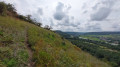 dans la réserve de Champalle