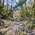 Circuit des Gorges de Landorre