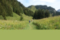 Dans les alpages entre La Montagne et le vallon du Golet